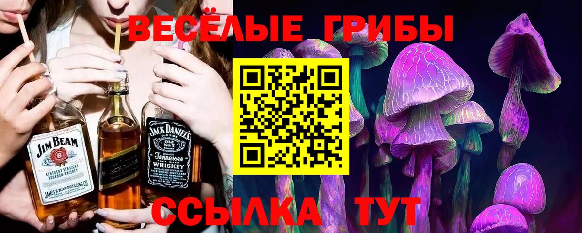Галлюциногенные грибы ЛСД Санкт-Петербург