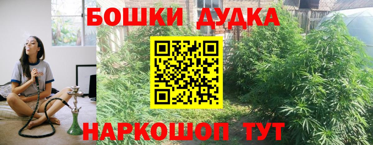 Канабис планчик Санкт-Петербург